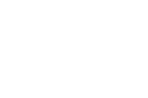 web adroit logo copy
